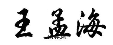 胡问遂王孟海行书个性签名怎么写