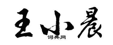胡问遂王小晨行书个性签名怎么写