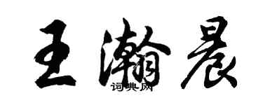 胡问遂王瀚晨行书个性签名怎么写