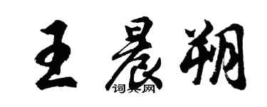 胡问遂王晨朔行书个性签名怎么写
