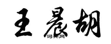 胡问遂王晨胡行书个性签名怎么写