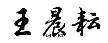 胡问遂王晨耘行书个性签名怎么写