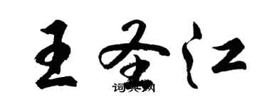 胡问遂王圣江行书个性签名怎么写