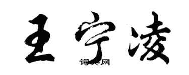胡问遂王宁凌行书个性签名怎么写
