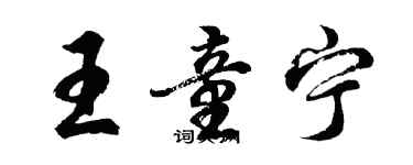 胡问遂王童宁行书个性签名怎么写