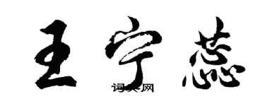 胡问遂王宁蕊行书个性签名怎么写