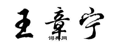 胡问遂王章宁行书个性签名怎么写