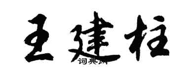 胡问遂王建柱行书个性签名怎么写