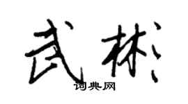王正良武彬行书个性签名怎么写