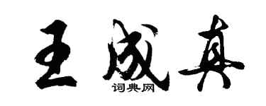 胡问遂王成真行书个性签名怎么写