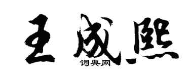 胡问遂王成熙行书个性签名怎么写
