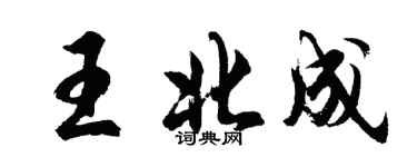 胡问遂王北成行书个性签名怎么写