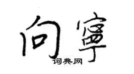 王正良向宁行书个性签名怎么写