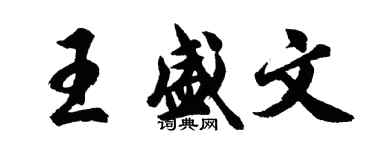 胡问遂王盛文行书个性签名怎么写