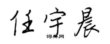 王正良任宇晨行书个性签名怎么写