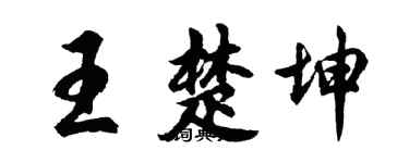 胡问遂王楚坤行书个性签名怎么写