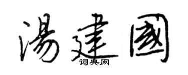 王正良汤建国行书个性签名怎么写
