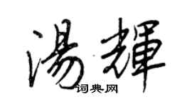 王正良汤辉行书个性签名怎么写