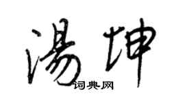 王正良汤坤行书个性签名怎么写