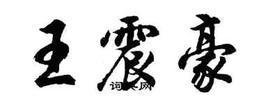胡问遂王震豪行书个性签名怎么写
