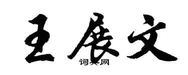 胡问遂王展文行书个性签名怎么写