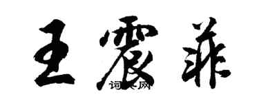 胡问遂王震菲行书个性签名怎么写