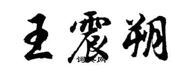 胡问遂王震朔行书个性签名怎么写