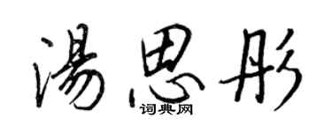 王正良汤思彤行书个性签名怎么写