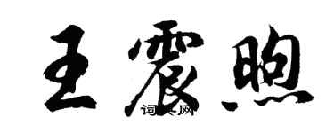 胡问遂王震煦行书个性签名怎么写
