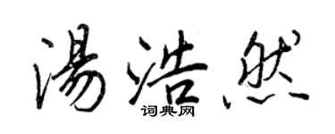 王正良汤浩然行书个性签名怎么写