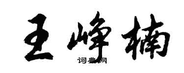 胡问遂王峥楠行书个性签名怎么写