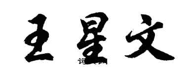 胡问遂王星文行书个性签名怎么写