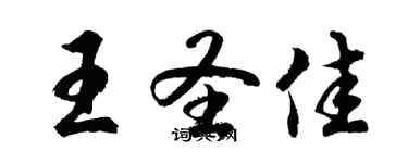 胡问遂王圣佳行书个性签名怎么写