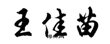胡问遂王佳苗行书个性签名怎么写
