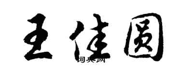 胡问遂王佳圆行书个性签名怎么写