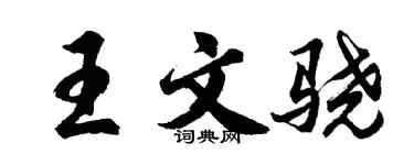 胡问遂王文骁行书个性签名怎么写