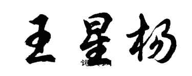 胡问遂王星杨行书个性签名怎么写
