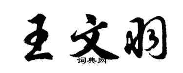 胡问遂王文羽行书个性签名怎么写