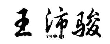 胡问遂王沛骏行书个性签名怎么写