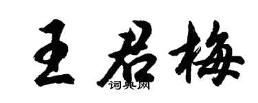 胡问遂王君梅行书个性签名怎么写
