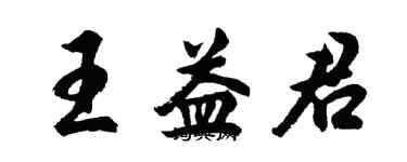 胡问遂王益君行书个性签名怎么写
