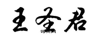 胡问遂王圣君行书个性签名怎么写