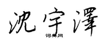 王正良沈宇泽行书个性签名怎么写