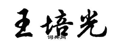 胡问遂王培光行书个性签名怎么写
