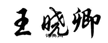 胡问遂王晓卿行书个性签名怎么写