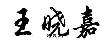胡问遂王晓嘉行书个性签名怎么写