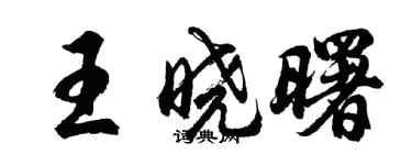胡问遂王晓曙行书个性签名怎么写