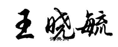 胡问遂王晓毓行书个性签名怎么写
