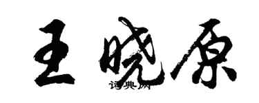 胡问遂王晓原行书个性签名怎么写