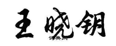 胡问遂王晓钥行书个性签名怎么写
